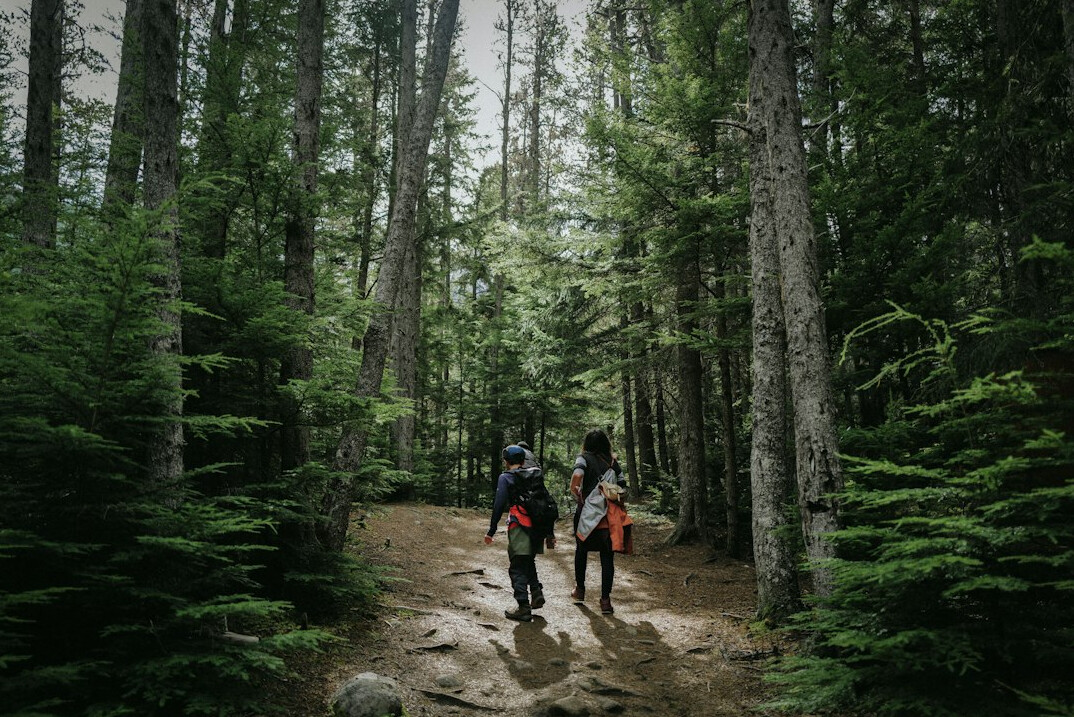 family searching woods